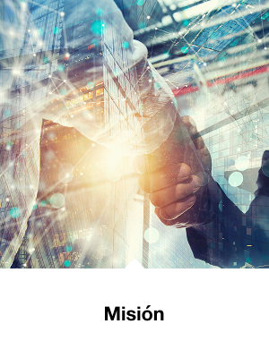 Misión