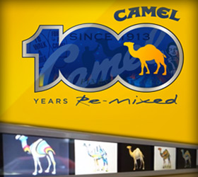 Camel3